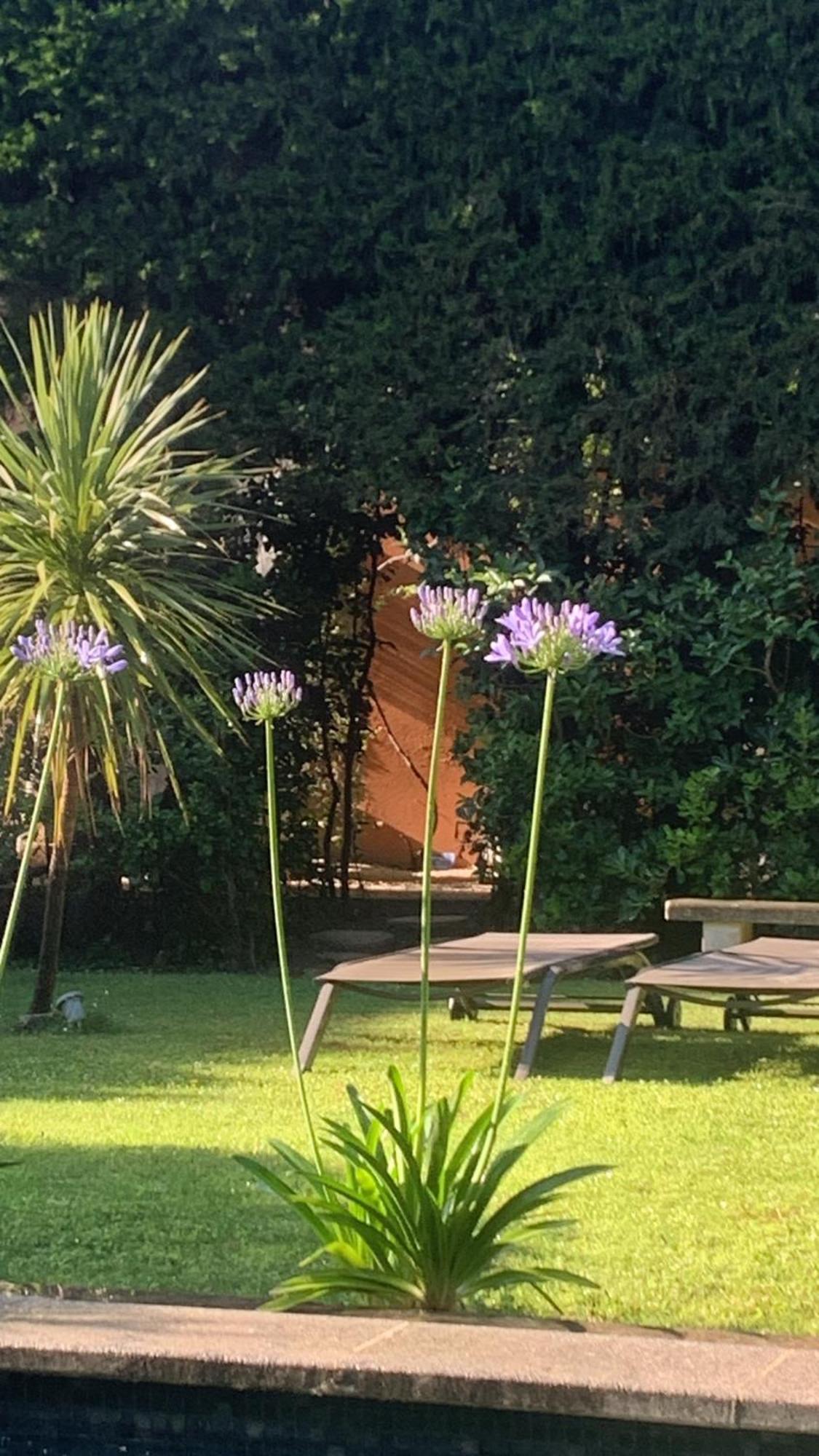 La Demeure Bed & Breakfast Eyguières Dış mekan fotoğraf